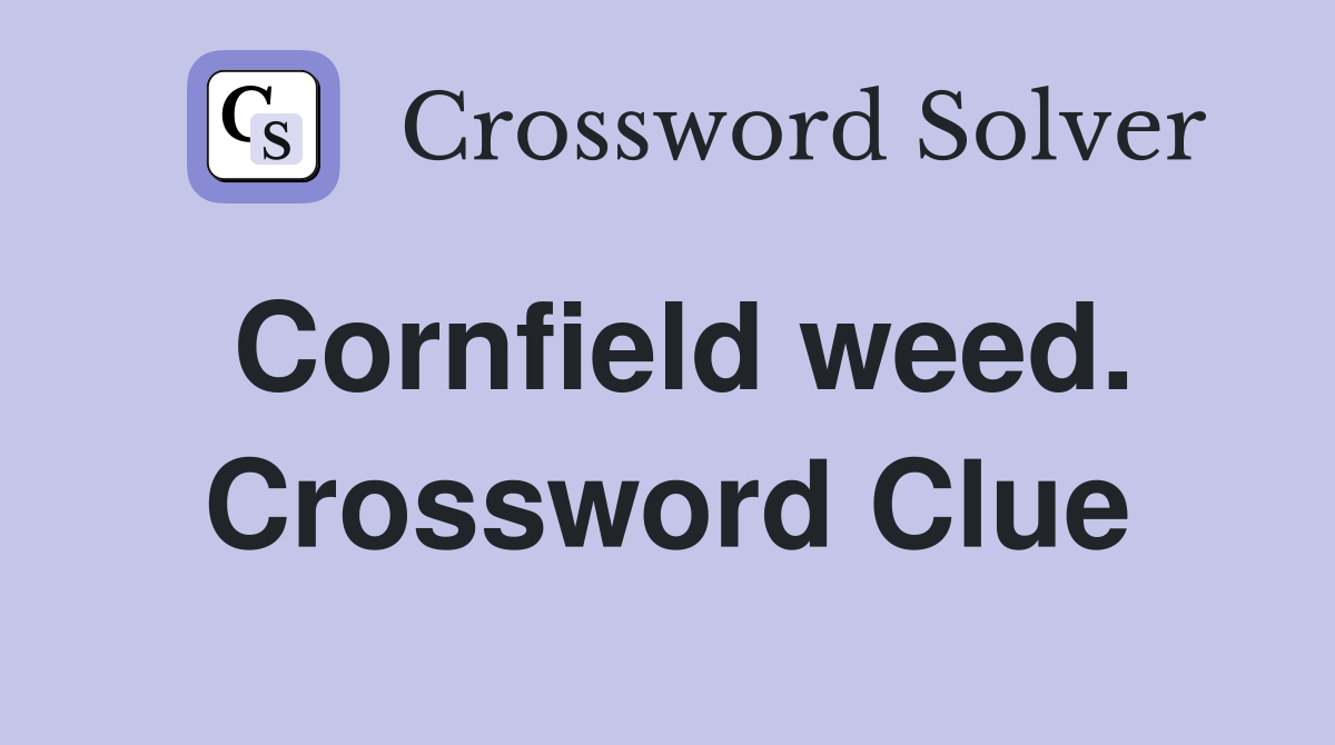 Cornfield weed. Crossword Clue