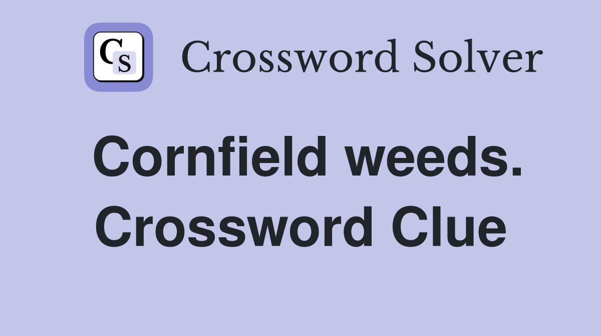 Cornfield weeds. Crossword Clue
