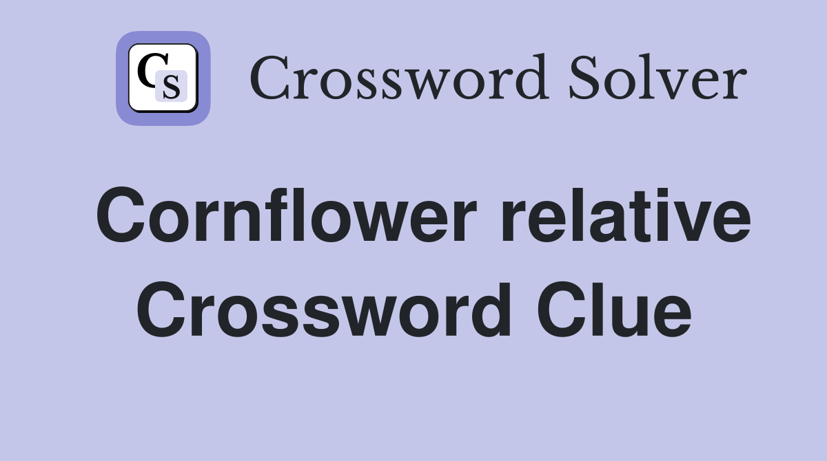 Cornflower relative Crossword Clue