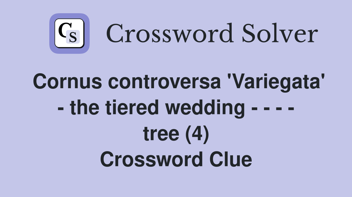 Cornus controversa 'Variegata' - the tiered wedding - - - - tree (4) Crossword Clue