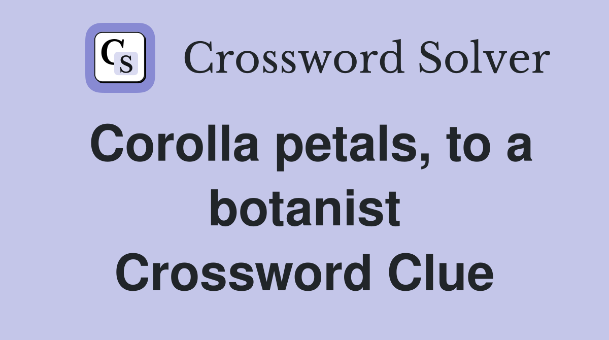 Corolla petals, to a botanist Crossword Clue