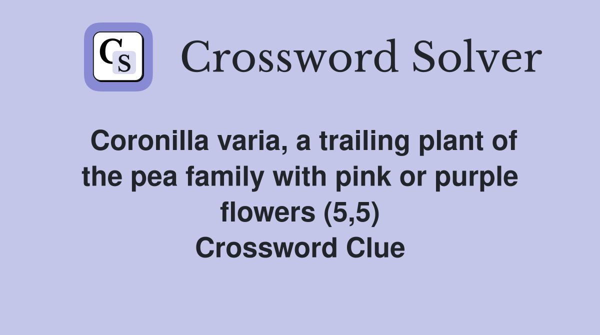 Coronilla varia, a trailing plant of the pea family with pink or purple flowers (5,5) Crossword Clue