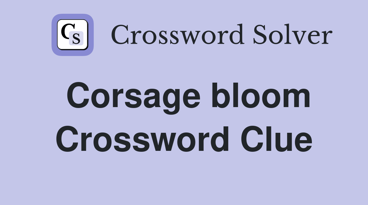 Corsage bloom Crossword Clue