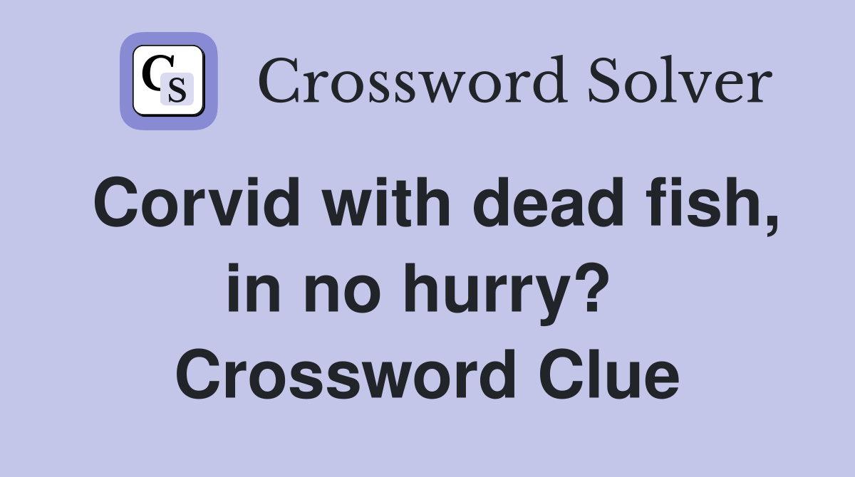 Corvid with dead fish, in no hurry?  Crossword Clue
