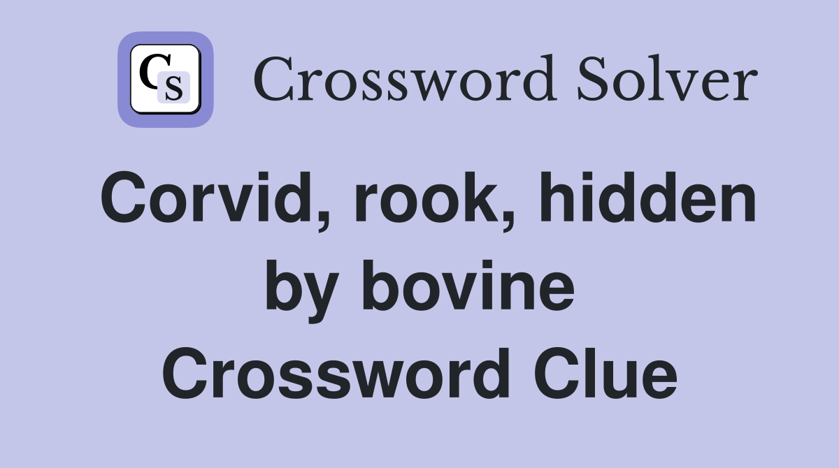 Corvid, rook, hidden by bovine Crossword Clue