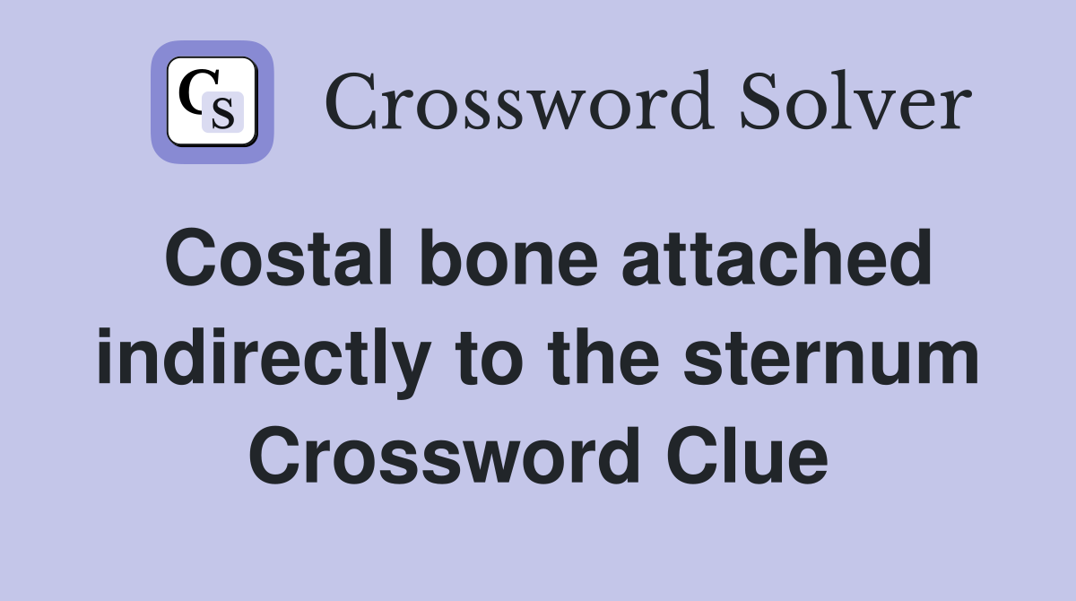 Costal bone attached indirectly to the sternum Crossword Clue