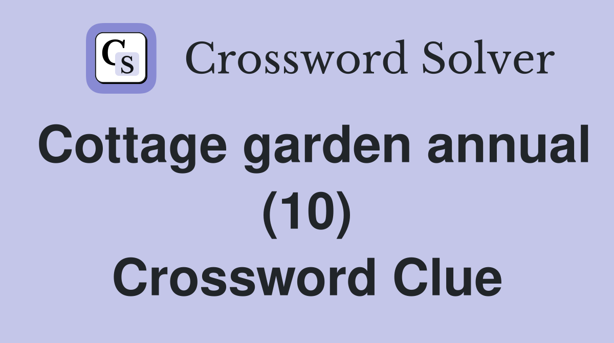 Cottage garden annual (10) Crossword Clue
