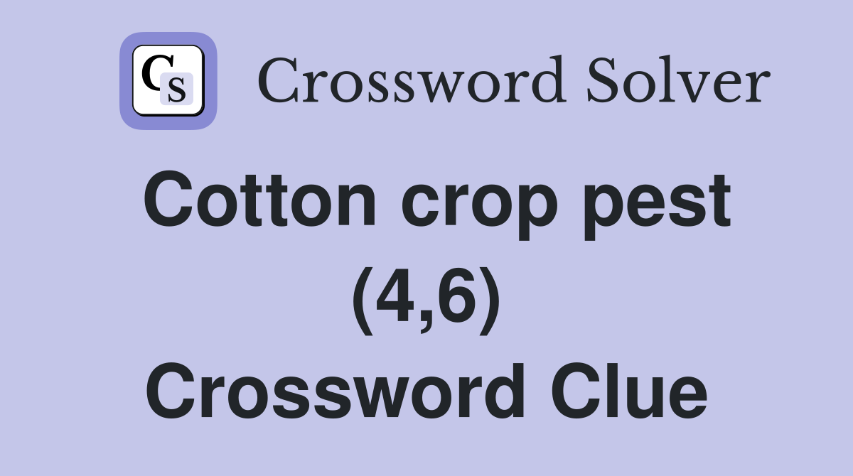 Cotton crop pest (4,6) Crossword Clue