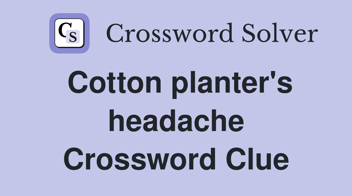 Cotton planter's headache Crossword Clue