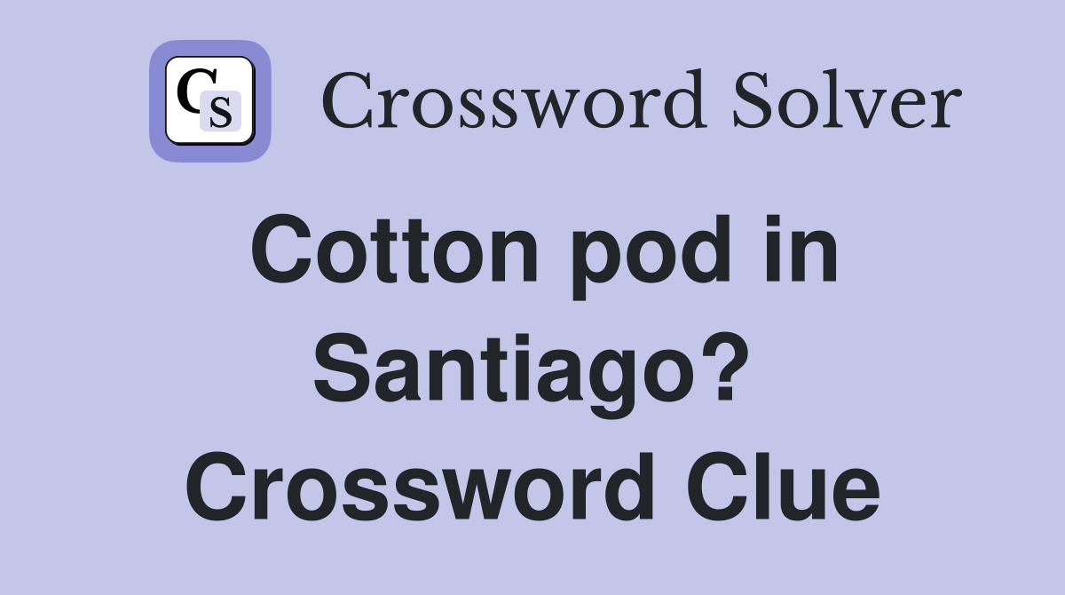 Cotton pod in Santiago? Crossword Clue