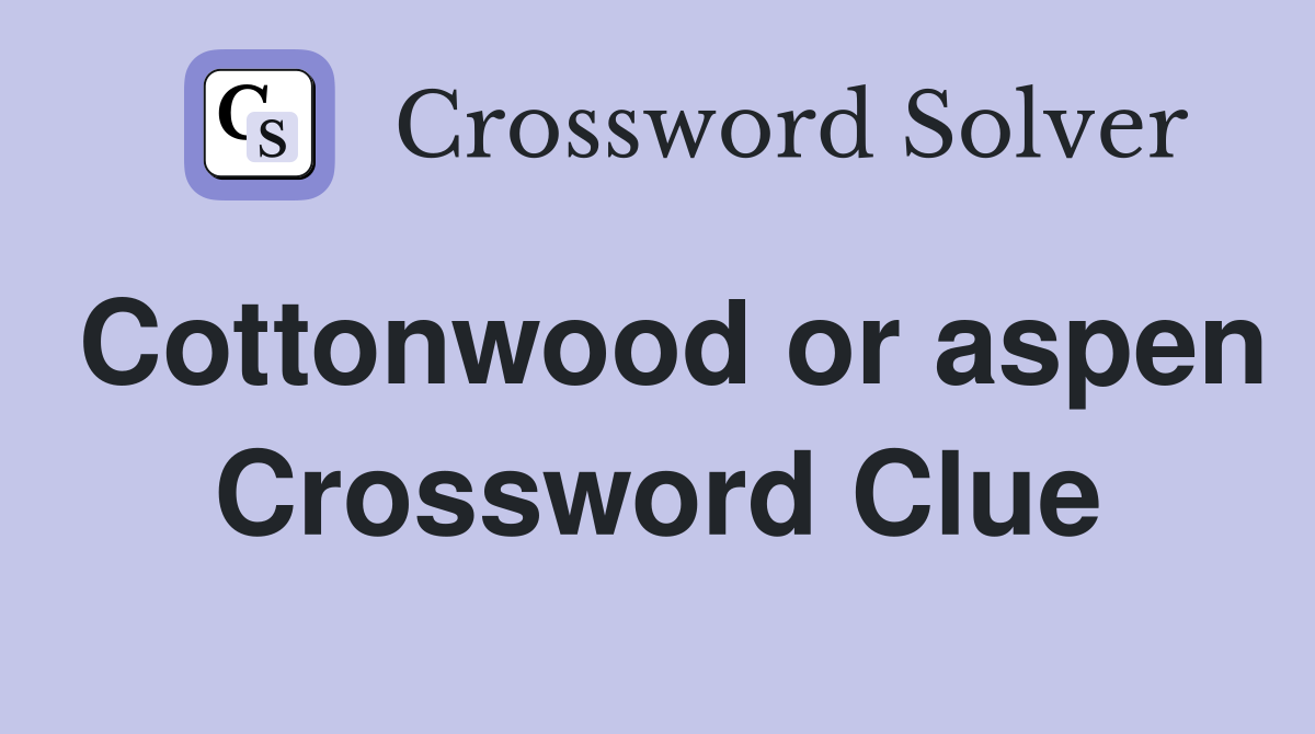 Cottonwood or aspen Crossword Clue