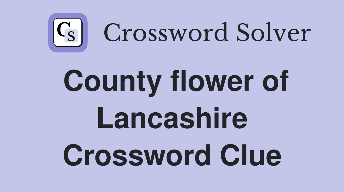 County flower of Lancashire Crossword Clue