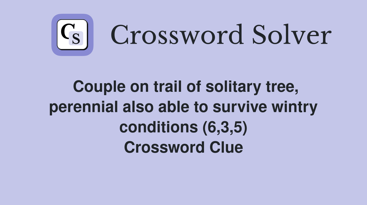 Couple on trail of solitary tree, perennial also able to survive wintry conditions (6,3,5) Crossword Clue