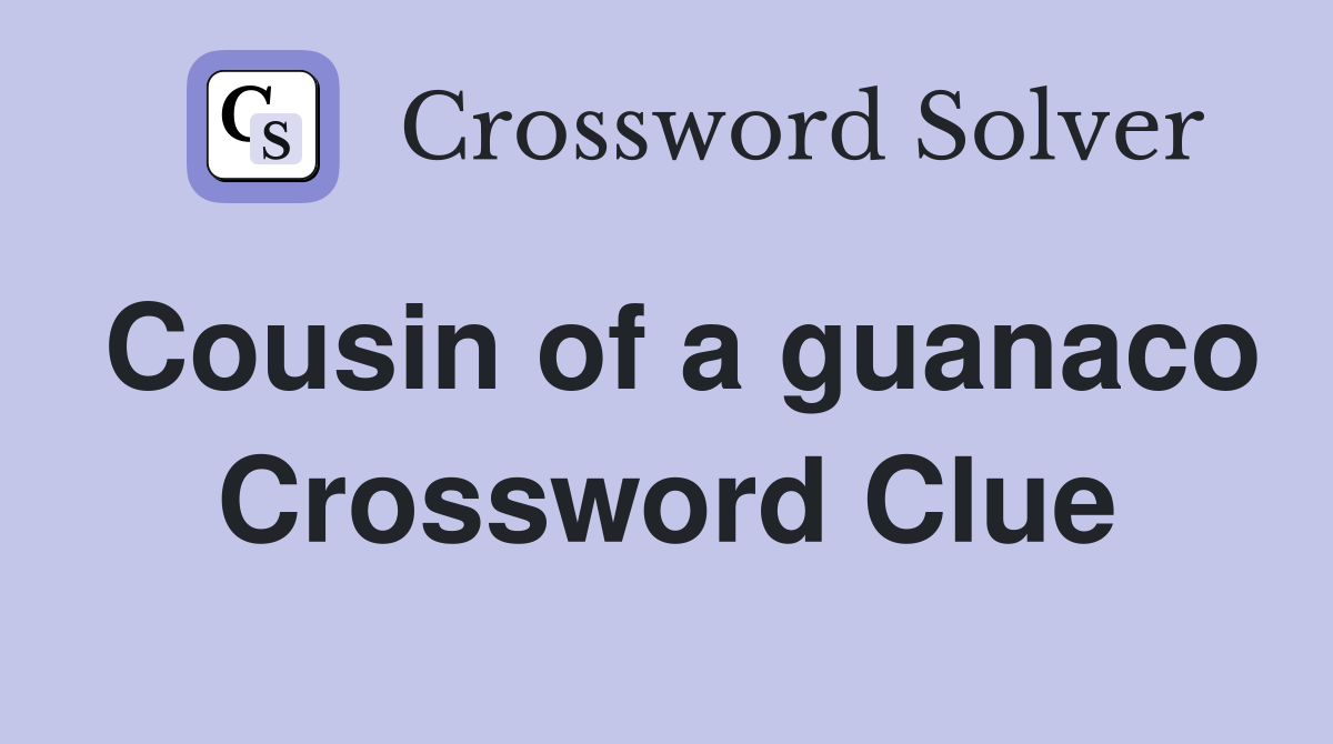 Cousin of a guanaco Crossword Clue