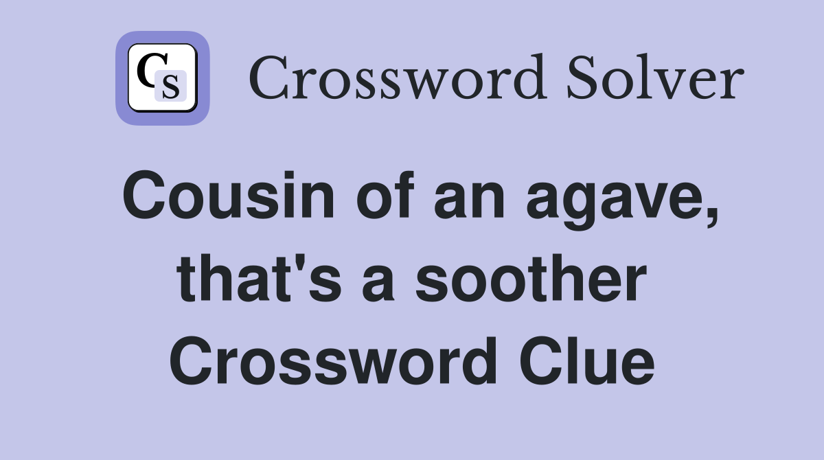 Cousin of an agave, that's a soother Crossword Clue