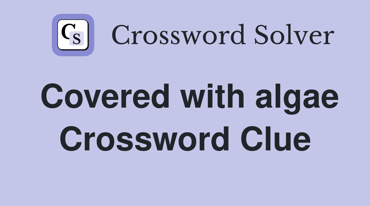 Covered with algae Crossword Clue