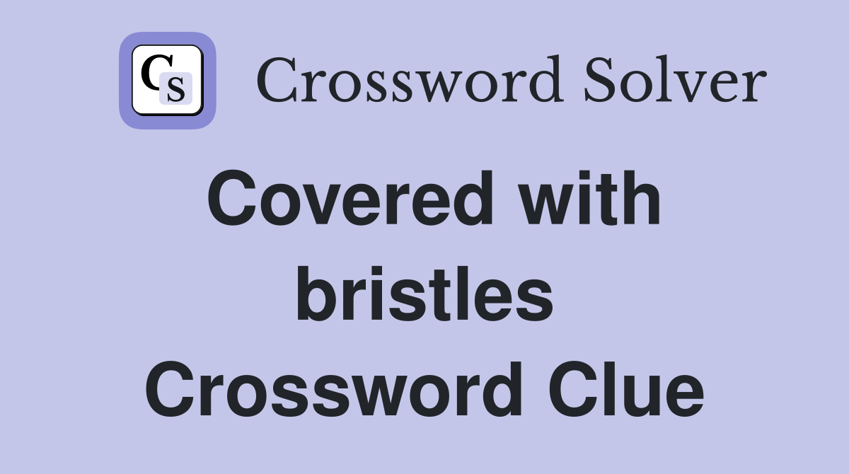Covered with bristles Crossword Clue