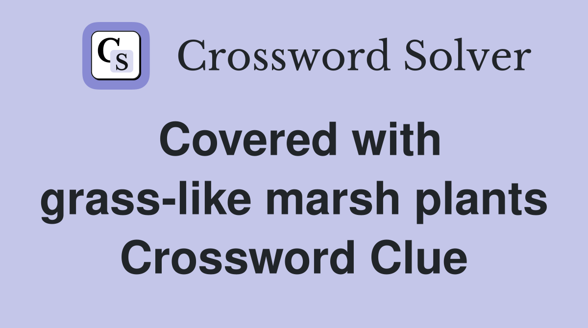 Covered with grass-like marsh plants Crossword Clue