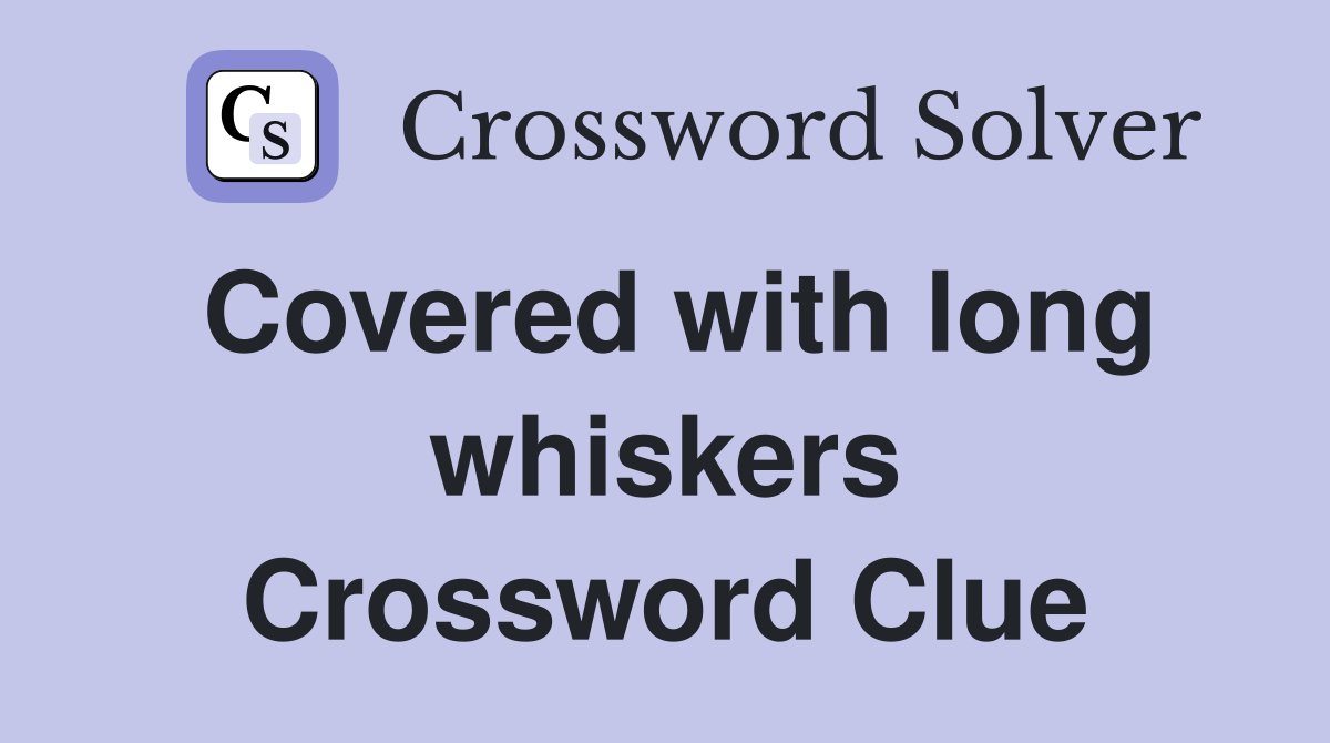 Covered with long whiskers Crossword Clue