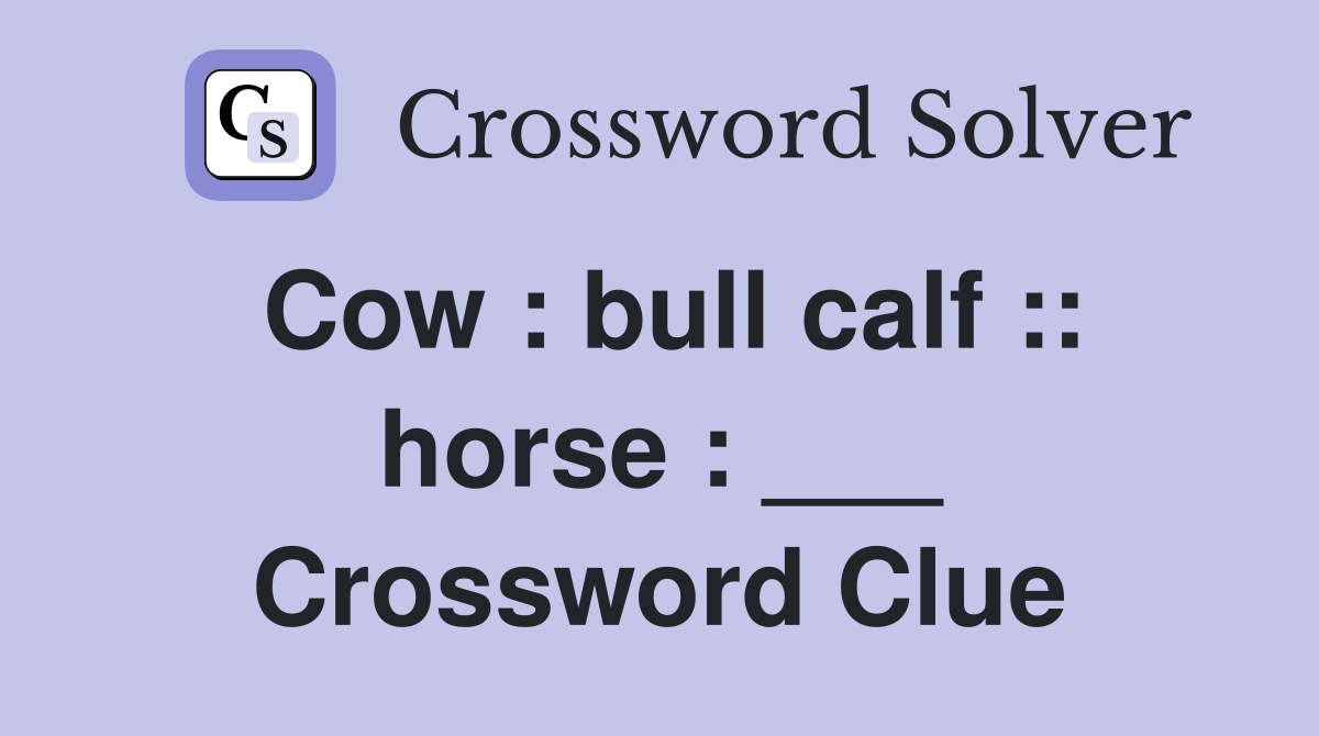 Cow : bull calf :: horse : ___ Crossword Clue