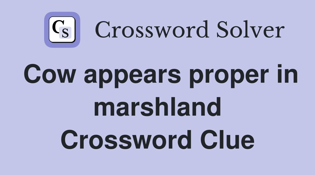 Cow appears proper in marshland Crossword Clue