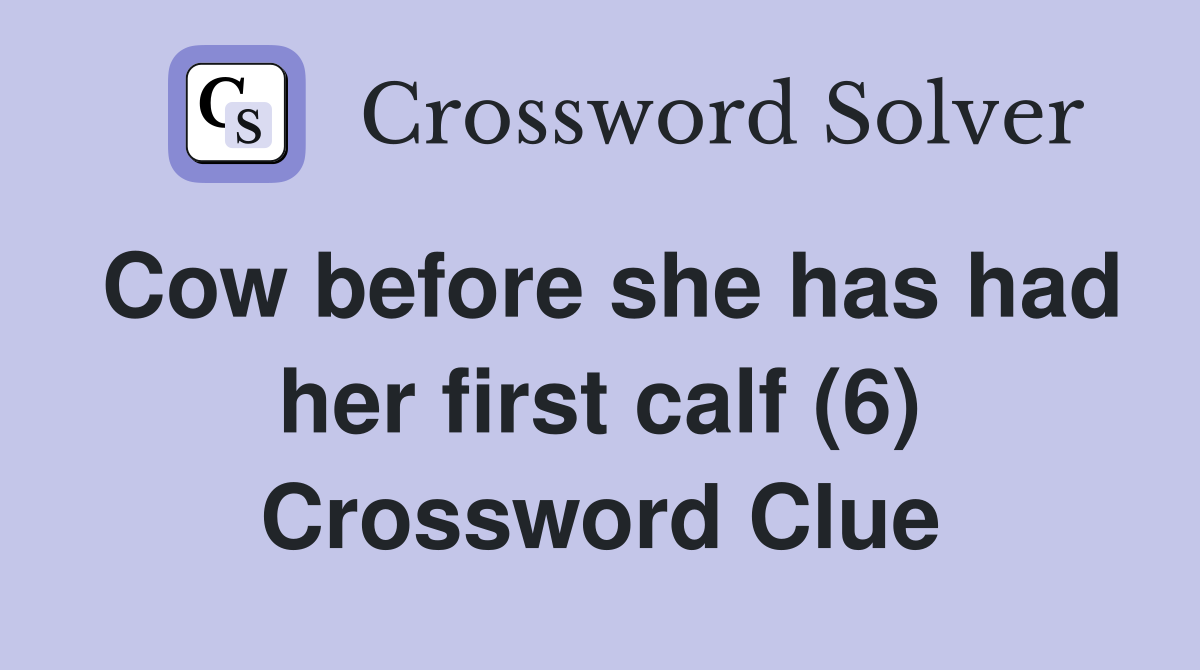 Cow before she has had her first calf (6) Crossword Clue