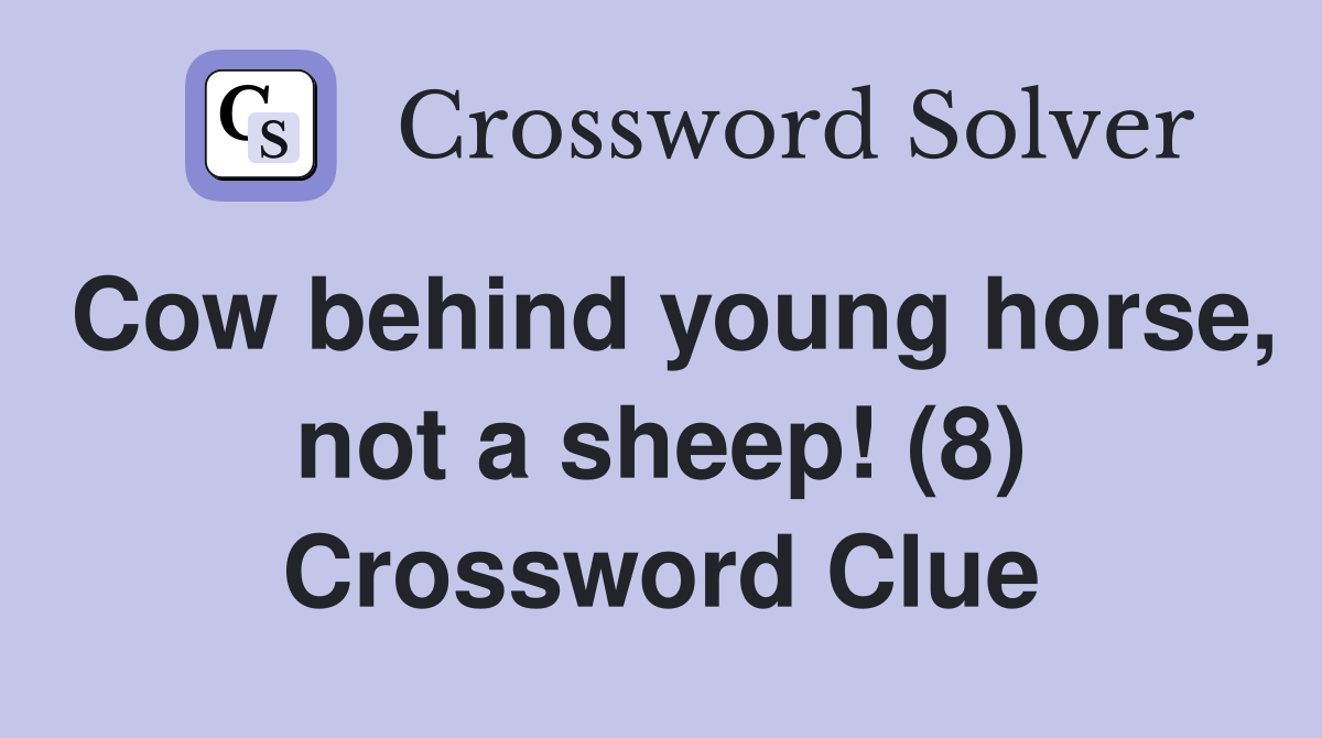 Cow behind young horse, not a sheep! (8) Crossword Clue