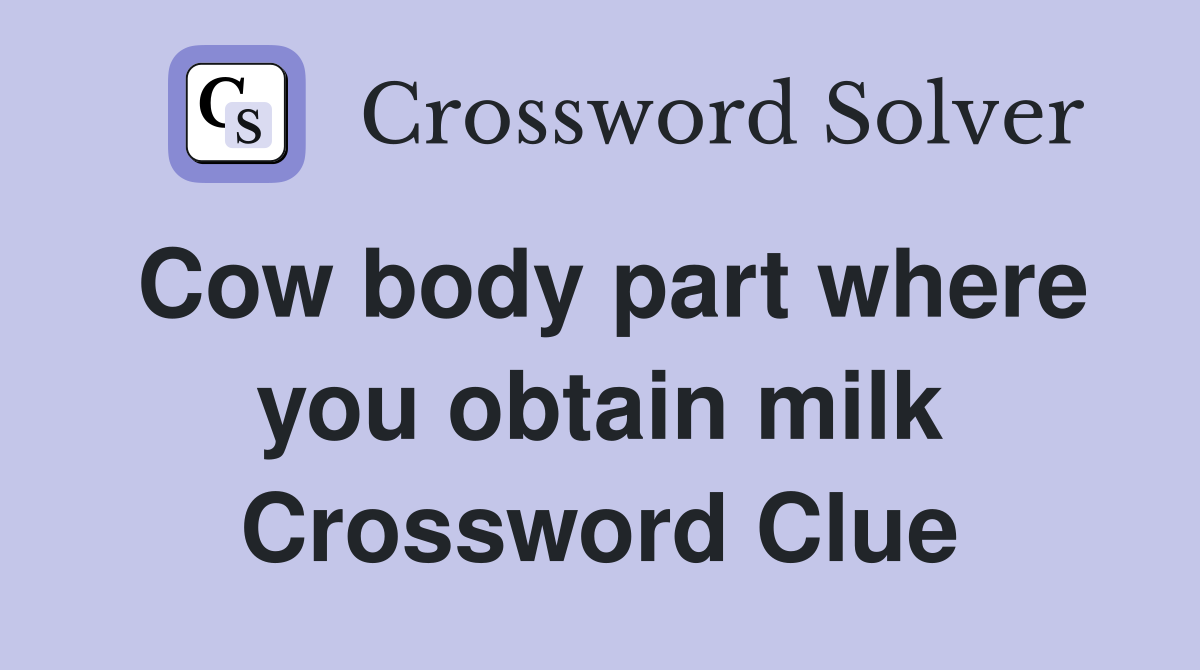 Cow body part where you obtain milk Crossword Clue