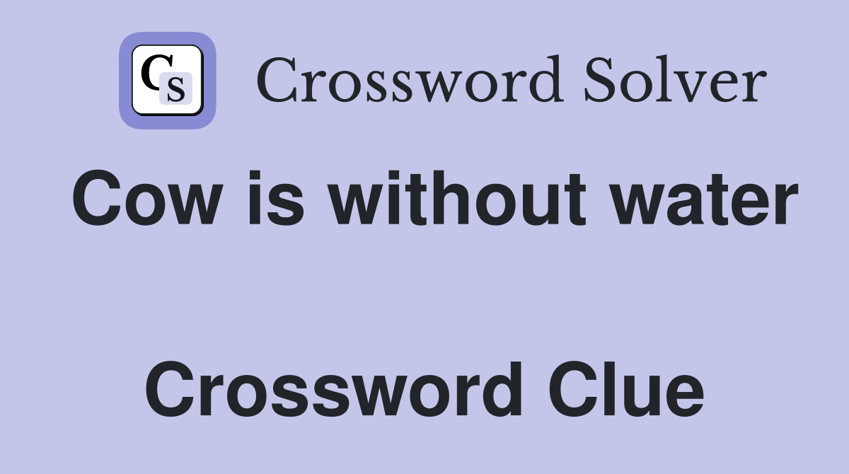 Cow is without water  Crossword Clue