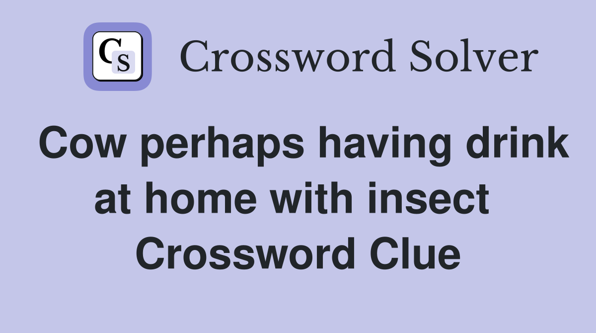 Cow perhaps having drink at home with insect  Crossword Clue