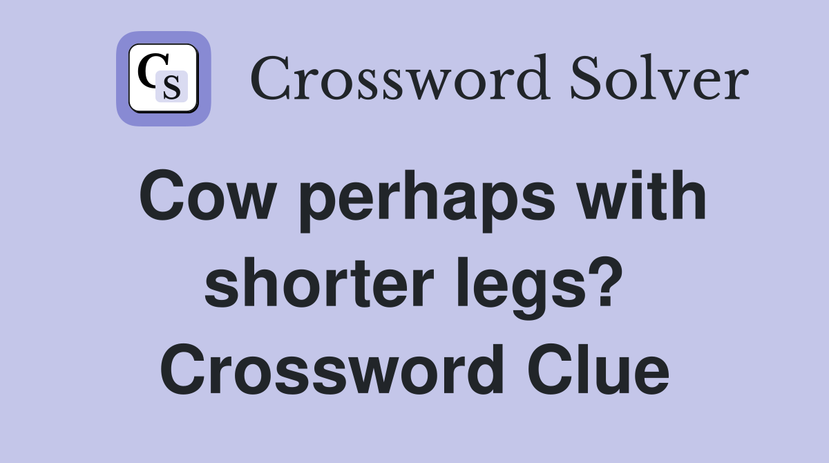 Cow perhaps with shorter legs? Crossword Clue