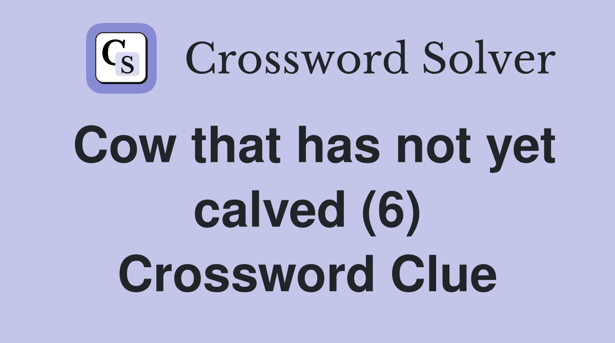 Cow that has not yet calved (6) Crossword Clue