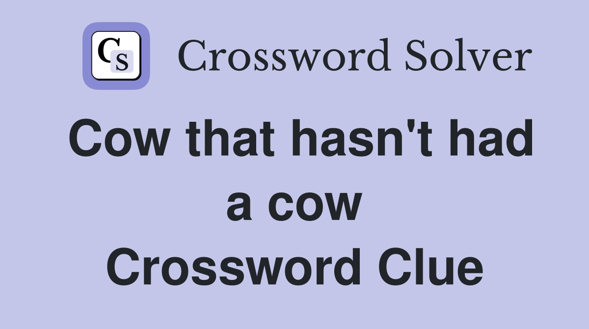 Cow that hasn't had a cow Crossword Clue