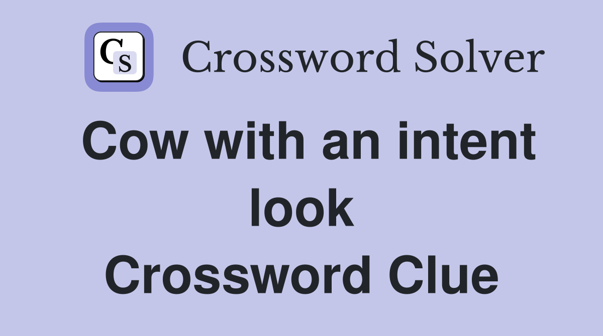 Cow with an intent look Crossword Clue