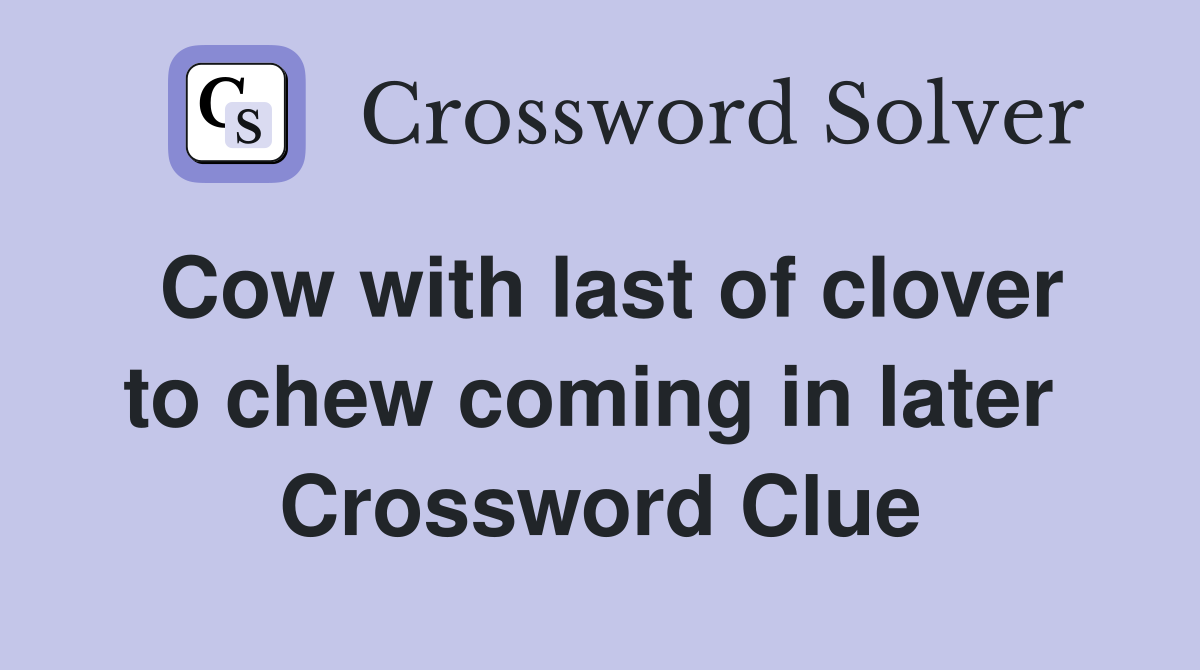 Cow with last of clover to chew coming in later  Crossword Clue