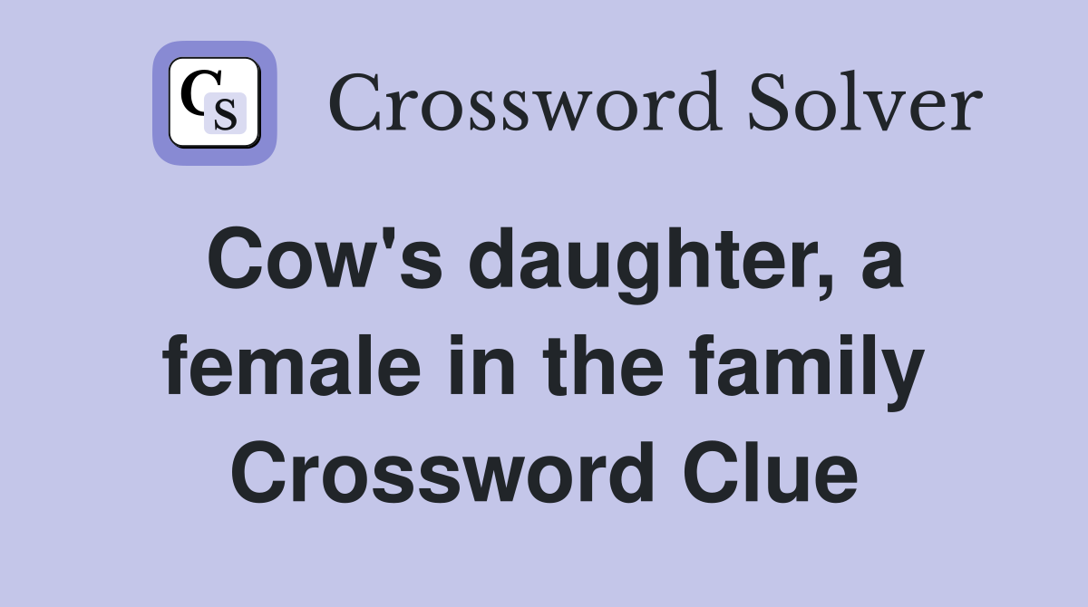 Cow's daughter, a female in the family Crossword Clue
