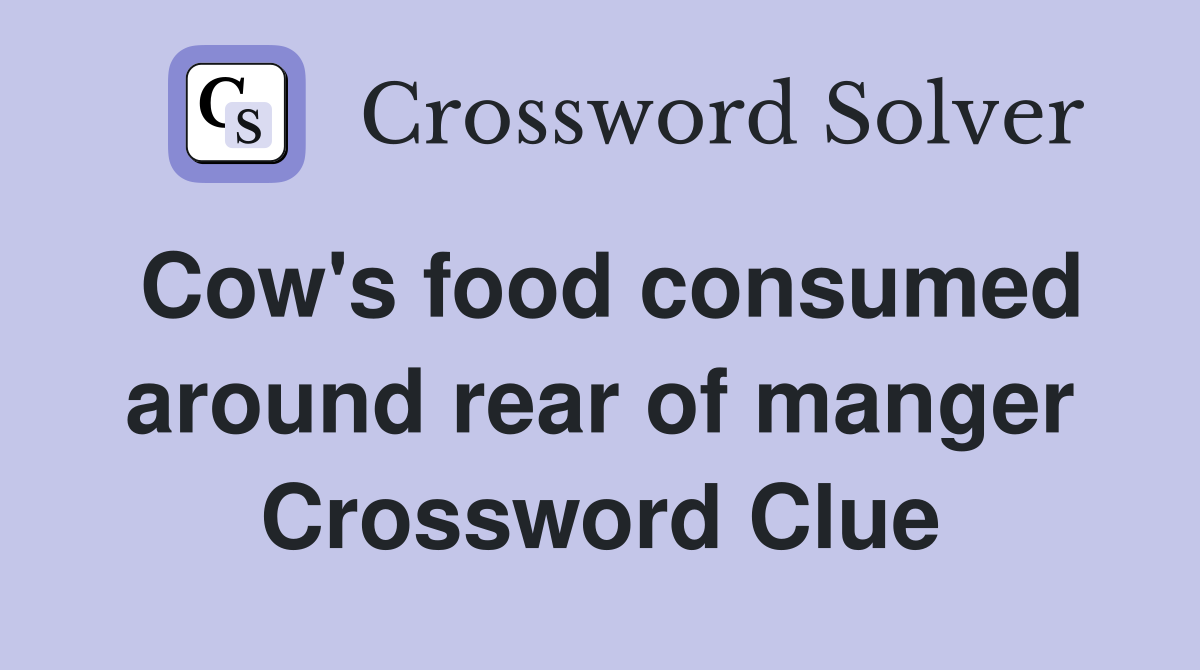 Cow's food consumed around rear of manger Crossword Clue
