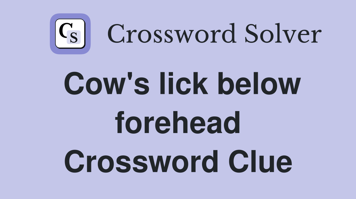 Cow's lick below forehead Crossword Clue