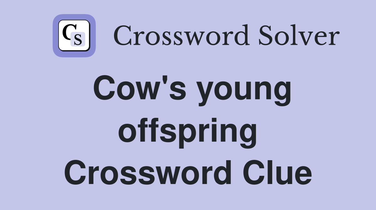 Cow's young offspring Crossword Clue