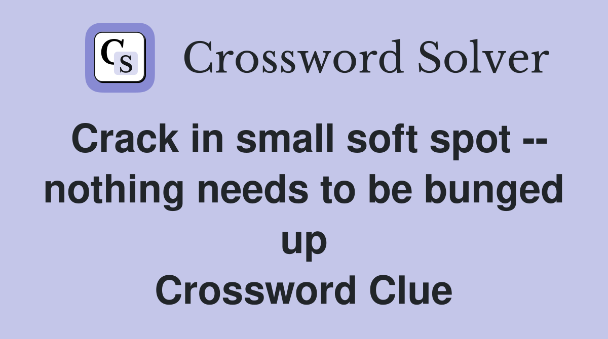 Crack in small soft spot -- nothing needs to be bunged up Crossword Clue