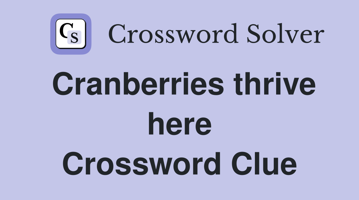 Cranberries thrive here Crossword Clue