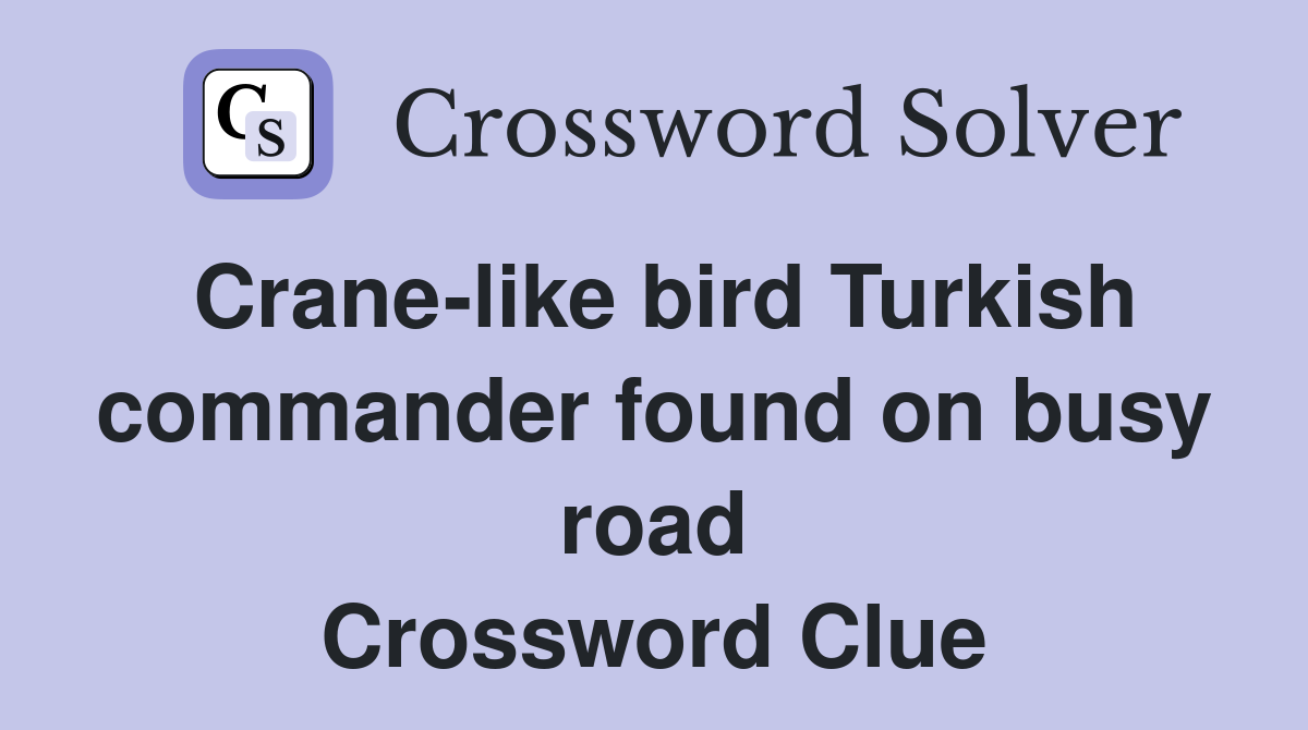 Crane-like bird Turkish commander found on busy road Crossword Clue