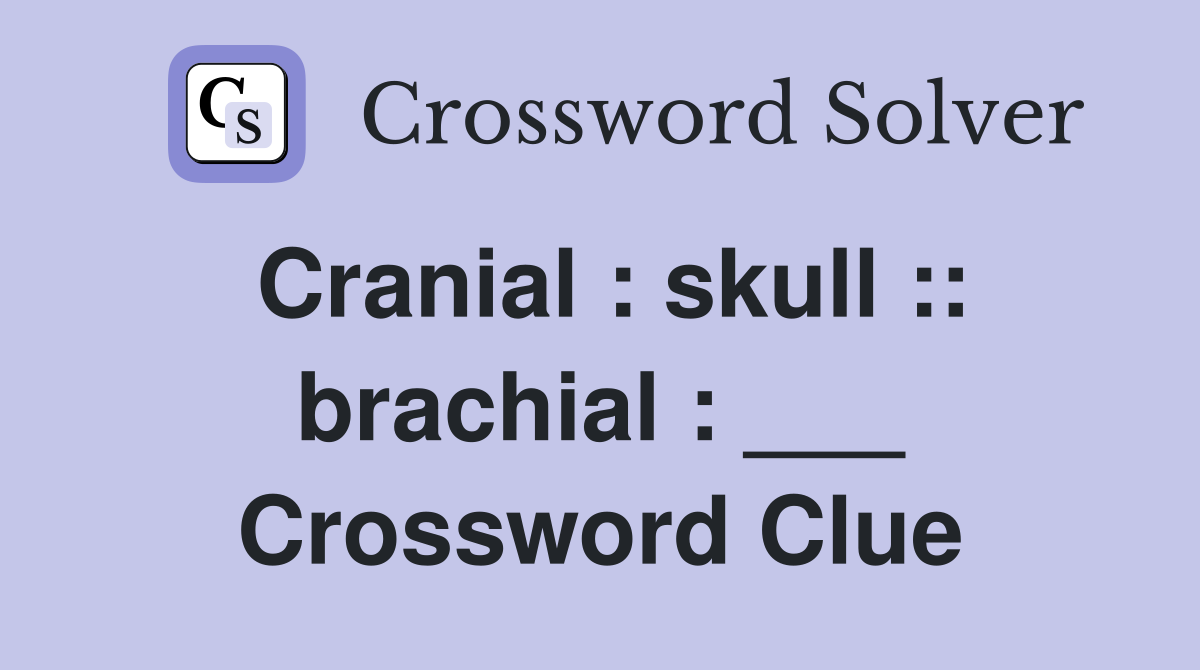 Cranial : skull :: brachial : ___ Crossword Clue