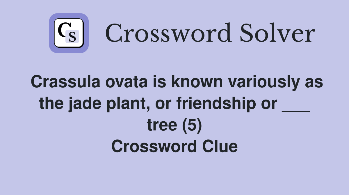 Crassula ovata is known variously as the jade plant, or friendship or ___ tree (5) Crossword Clue