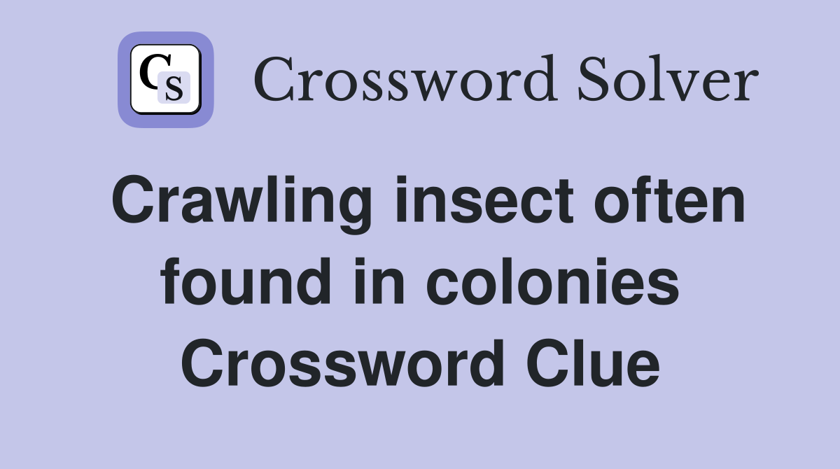 Crawling insect often found in colonies Crossword Clue