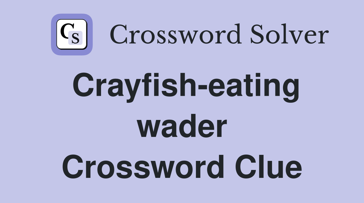 Crayfish-eating wader Crossword Clue