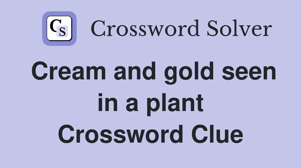 Cream and gold seen in a plant Crossword Clue