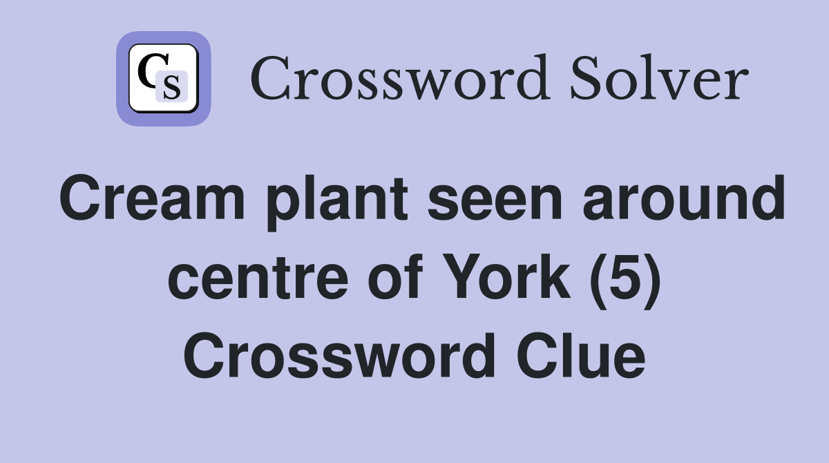 Cream plant seen around centre of York (5) Crossword Clue