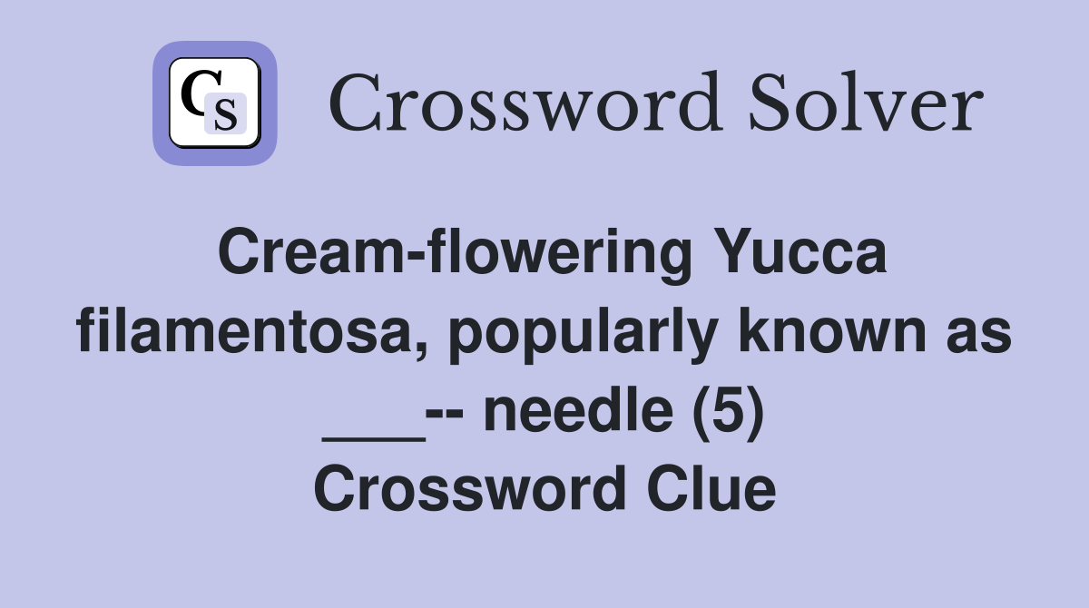 Cream-flowering Yucca filamentosa, popularly known as ___-- needle (5) Crossword Clue