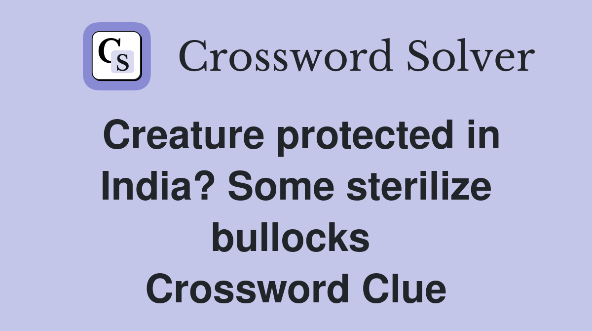 Creature protected in India? Some sterilize bullocks  Crossword Clue